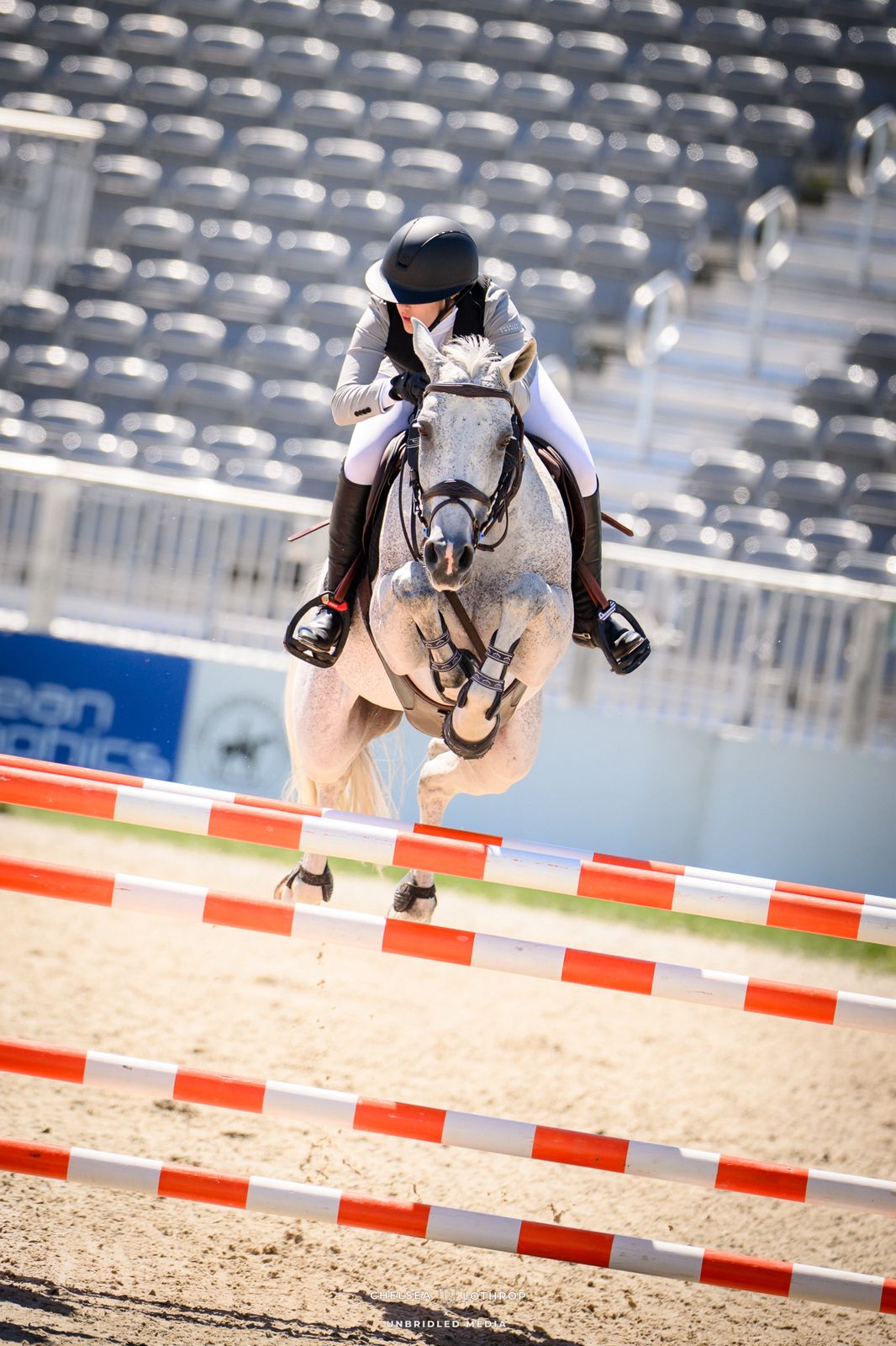 P Stables Competition 1