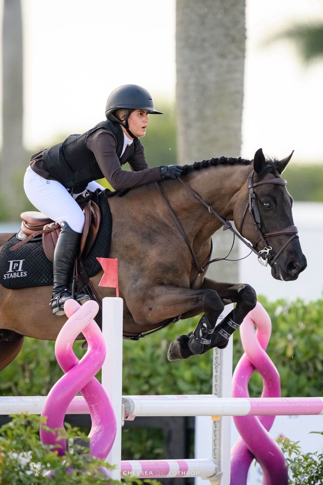 P Stables Competition 3