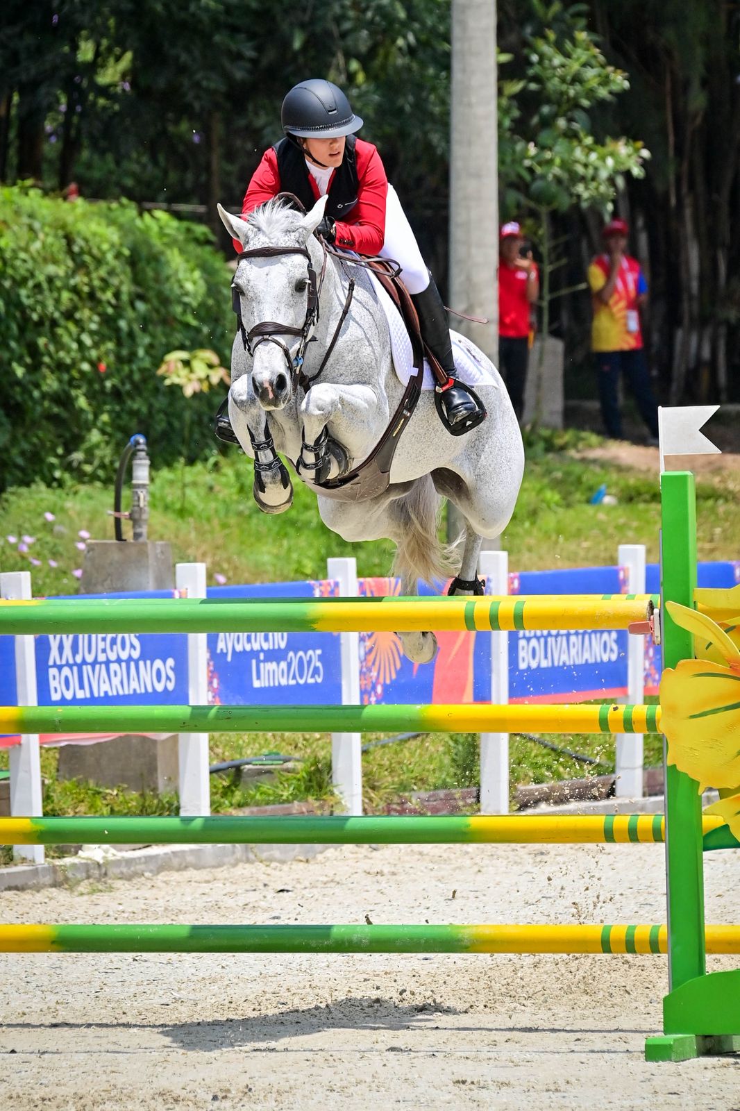 P Stables Competition 4