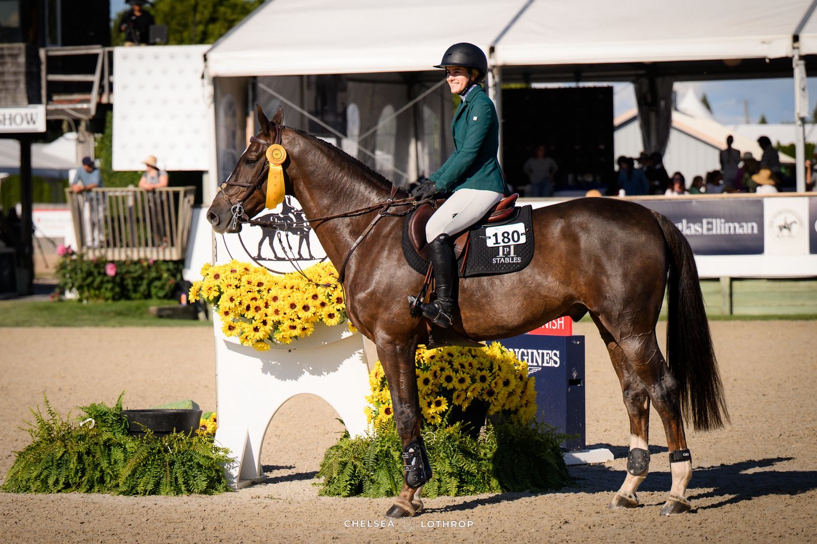 P Stables Competition 5